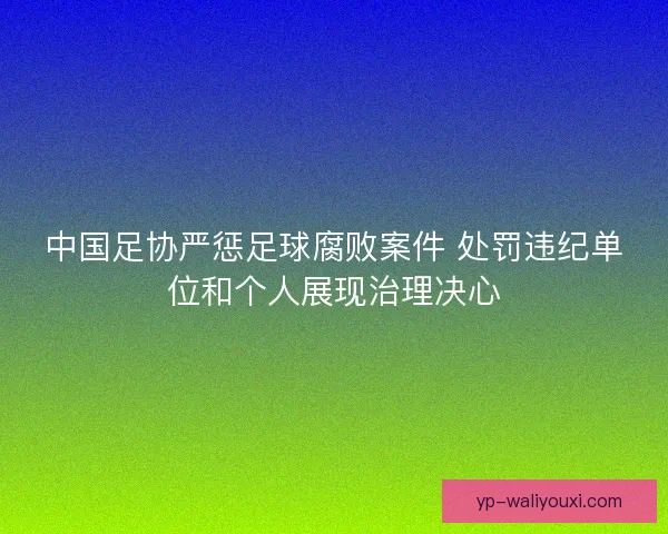 中国足协严惩足球腐败案件 处罚违纪单位和个人展现治理决心